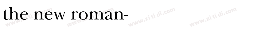 the new roman字体转换